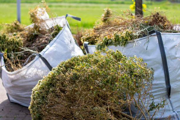 Demolition Debris Removal in Elmwood Park, NJ