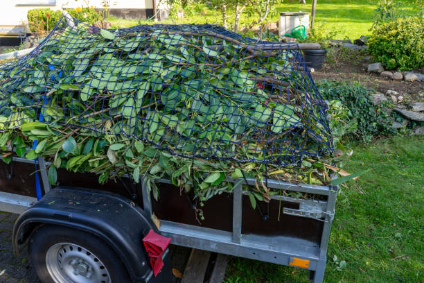 Best Retail Junk Removal  in Elmwood Park, NJ